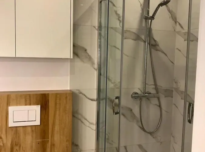 아파트 Szpitalna 포즈난